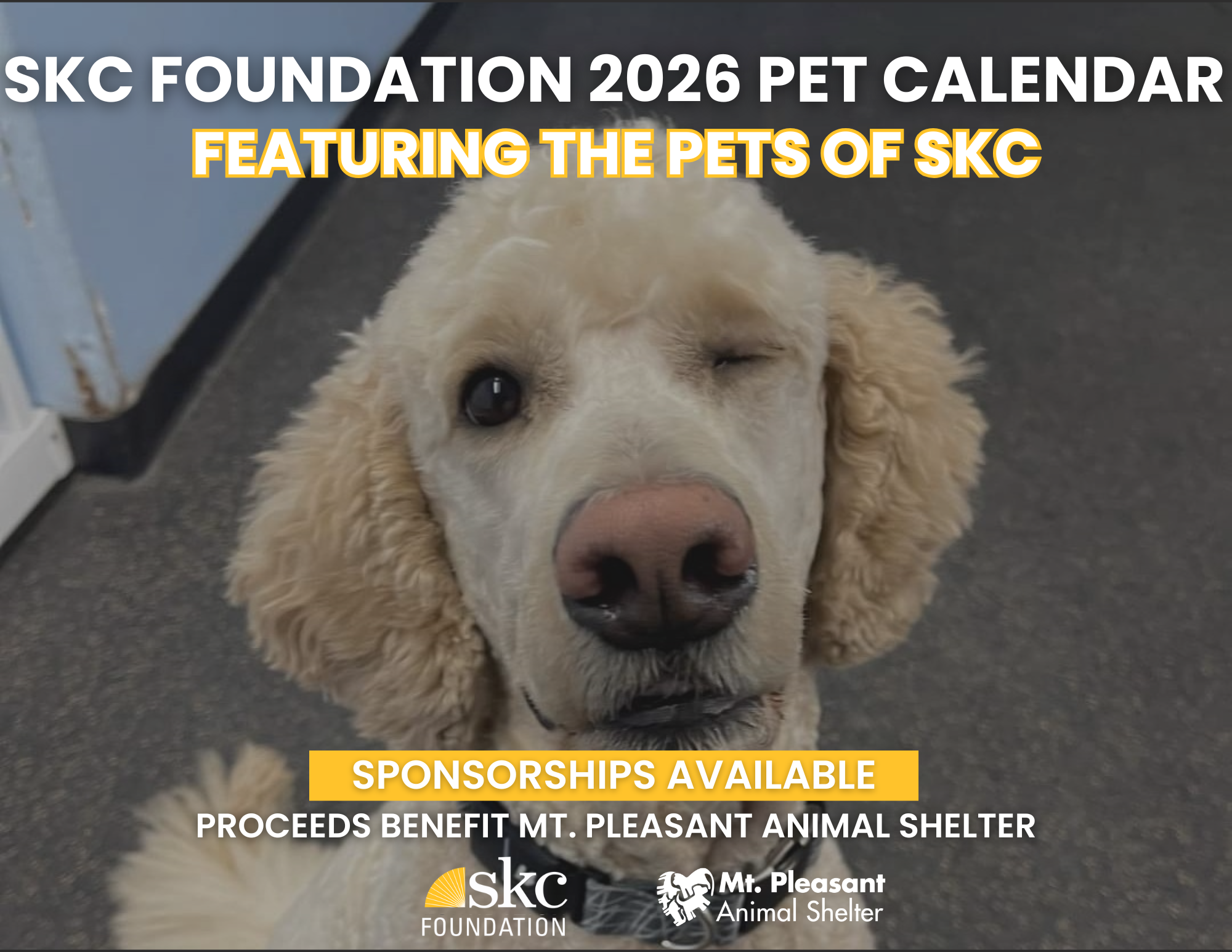 2026 Pets of SKC Calendar Order Form